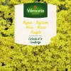 Semilla Alisso Amarillo 0,5g Vilmorin