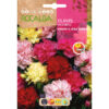 Semillas de Clavel Margarita Doble Variado (1g) Rocalba