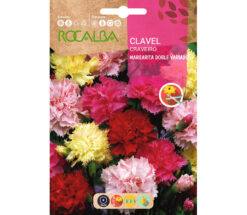 Semillas de Clavel Margarita Doble Variado (1g) Rocalba
