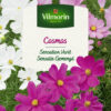 Semilla de Cosmo Variado (1,5 g)Vilmorin