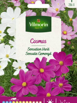 Semilla de Cosmo Variado (1,5 g)Vilmorin