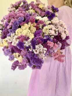 Semilla Statice Mix Pastel Shade (1.000 sem) Ball Chile