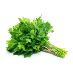 Semilla Perejil Liso DK (500 grs) IMPT.