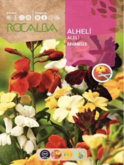 Semilla Flores Alheli Ravanelle Variado (6g) Rocalba