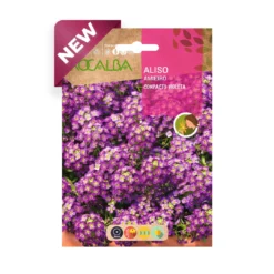 Semilla de Flor Aliso Violeta (2g) ROC